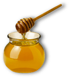 A pot of honey and a honey dipper.